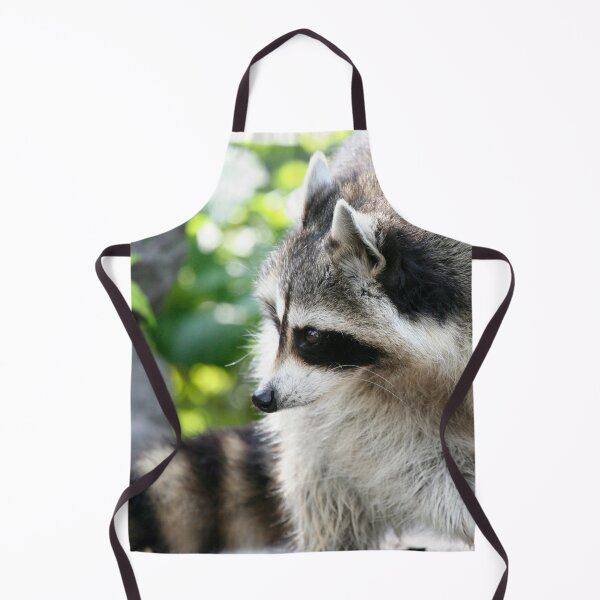Item preview, Raccoon 003 designed and sold by JAMFoto.