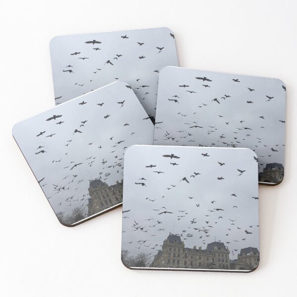 Item preview, Birds at the Notre Dame in Paris, France | Photography | Gift Idea | Cute Decor designed and sold by GabrieTaylor.
