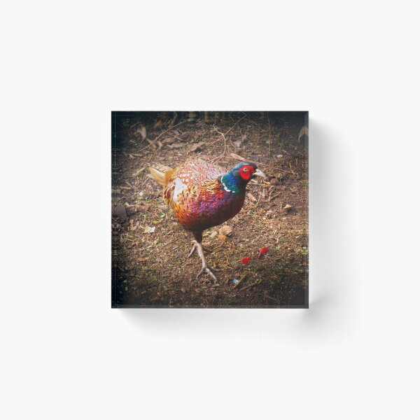 Item preview, Pretty Pheasant  designed and sold by Ann Biddlecombe.