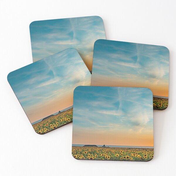Item preview, Rhossili Sun Flowers designed and sold by RCMPhotography.