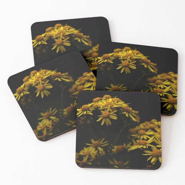 Item preview, Yellow Daisy Photo with Dark Background designed and sold by TinyTravels.