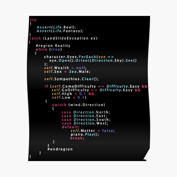 Is This The Real Life Coding Programming Color Poster