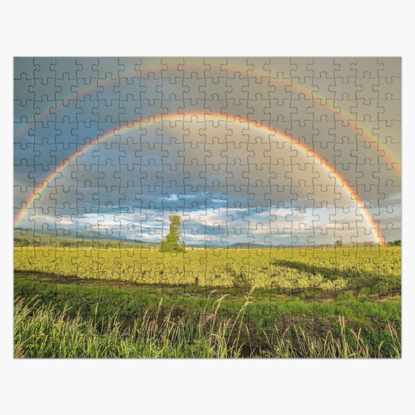 Double Rainbow Puzzle Jigsaw Puzzle