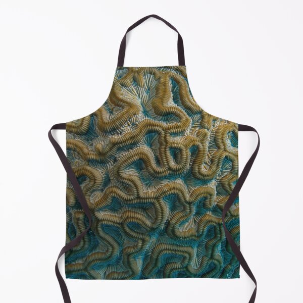 Item preview, brain designed and sold by Drahmed.