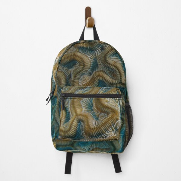 Item preview, brain designed and sold by Drahmed.