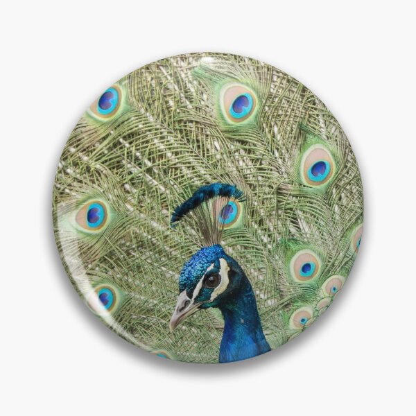 Item preview, Peacock Display designed and sold by Beverley Goodwin.