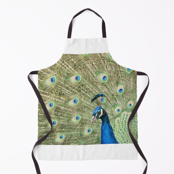 Item preview, Peacock Display designed and sold by Beverley Goodwin.