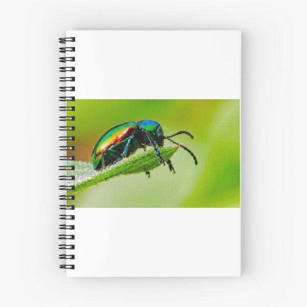 Item preview, Dogbane Leaf Beetle  designed and sold by colorfulbundles.