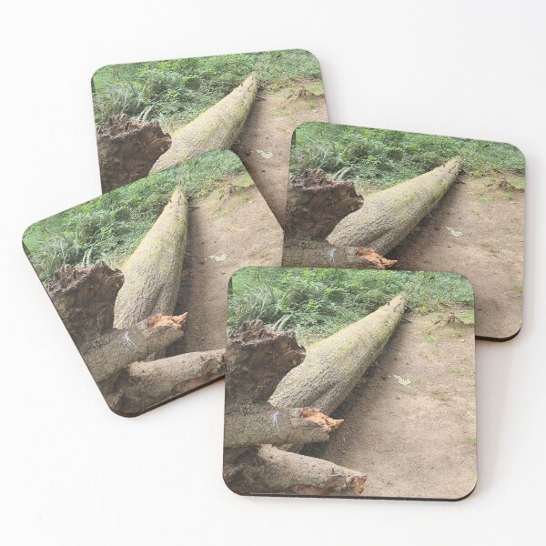 Item preview, Tree at Suislaw River reststop designed and sold by RKSDesigns.