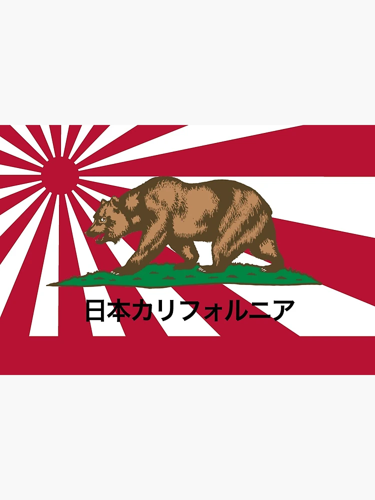 Amazon.com : KEYCA California Republic State Flag 3x5 FT