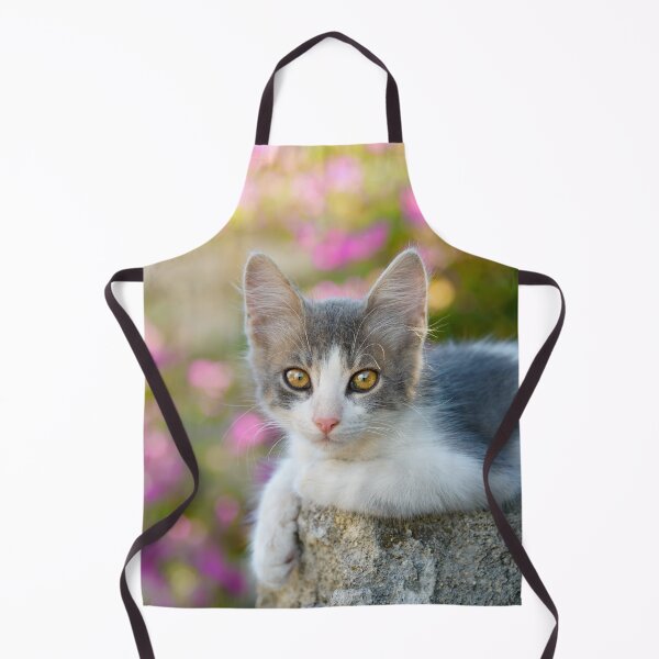Item preview, Cute young bicolour cat kitten designed and sold by Katho Menden.