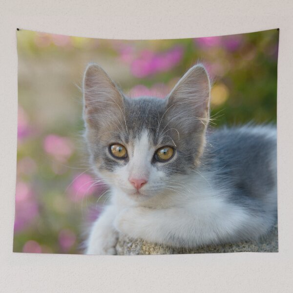 Item preview, Cute young bicolour cat kitten designed and sold by Katho Menden.