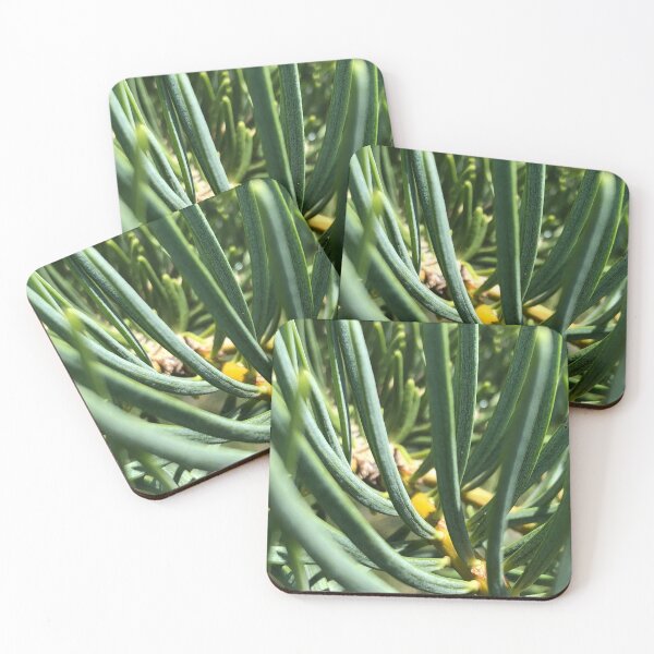 Item preview, Pine Tree Needles Nature designed and sold by Kaushal Pal.