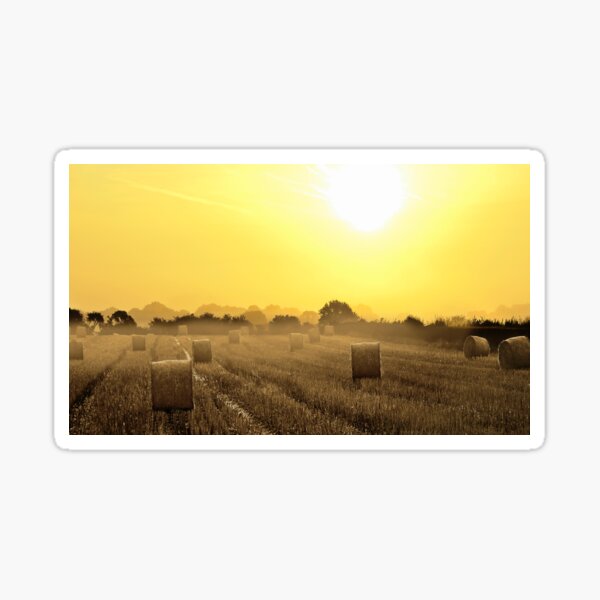 Item preview, Golden September Morning designed and sold by mhfore.