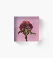 Exotique Acrylic Block