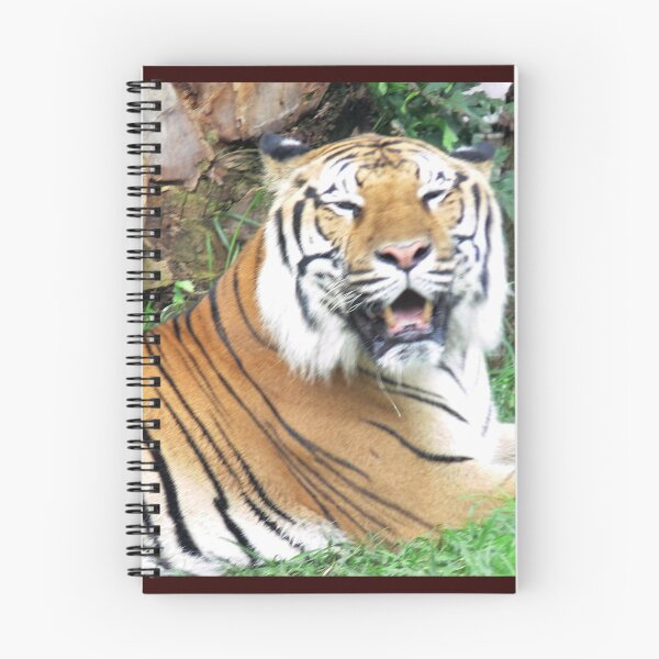 Item preview, Tiger at Busch Gardens, Tampa, FL designed and sold by Monika's Shop.