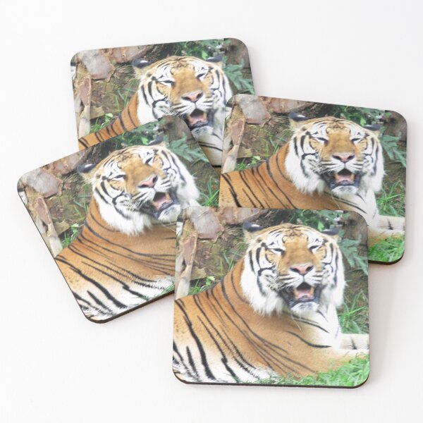 Item preview, Tiger at Busch Gardens, Tampa, FL designed and sold by Monika's Shop.