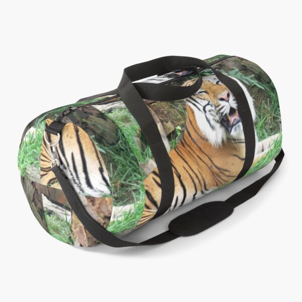 Item preview, Tiger at Busch Gardens, Tampa, FL designed and sold by Monika's Shop.