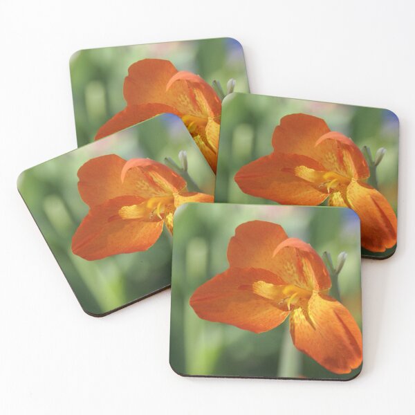 Item preview, Orange Flower at Busch Gardens designed and sold by Monika's Shop.