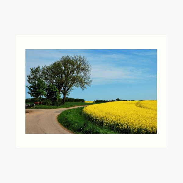 For all who love yellow Art Print