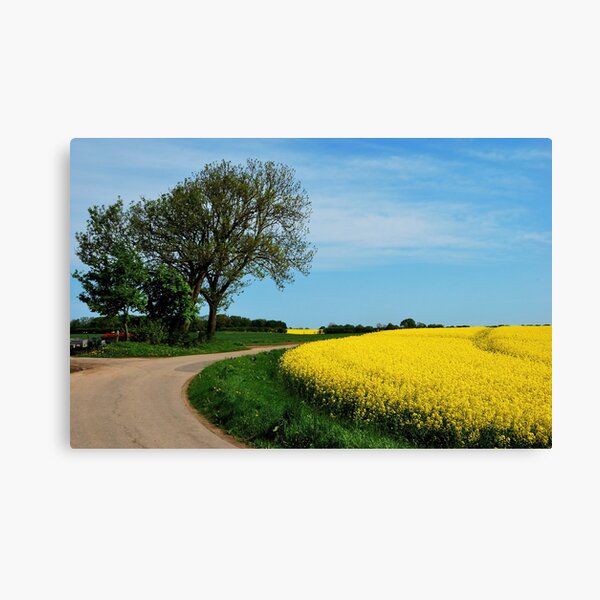 Item preview, For all who love yellow designed and sold by jchanders.