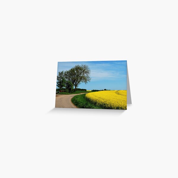 For all who love yellow Greeting Card