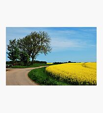 For all who love yellow Photographic Print