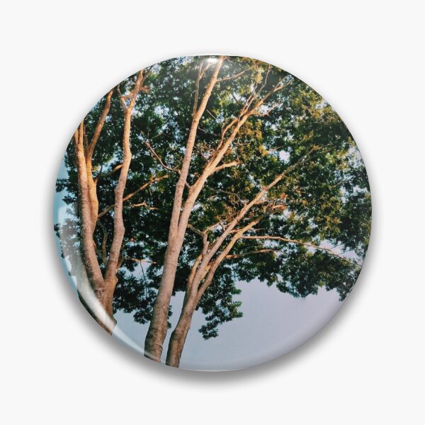 Artikelvorschau, Baum mit einem Himmelhintergrund entworfen und verkauft von Oceanwaves-06.