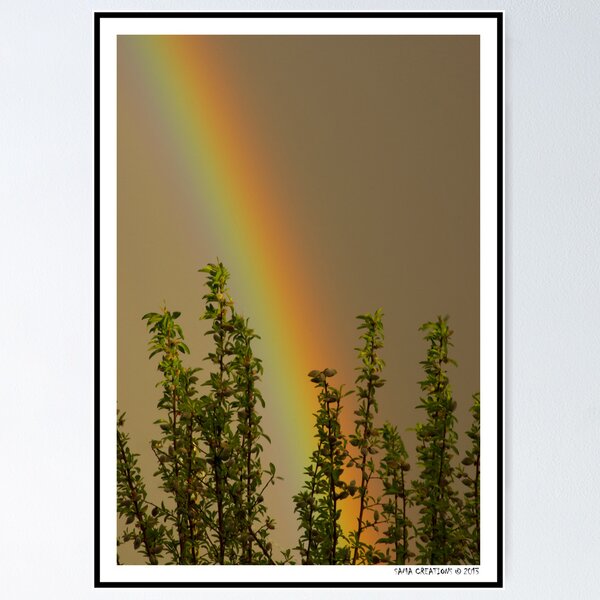 Rainbow Poster