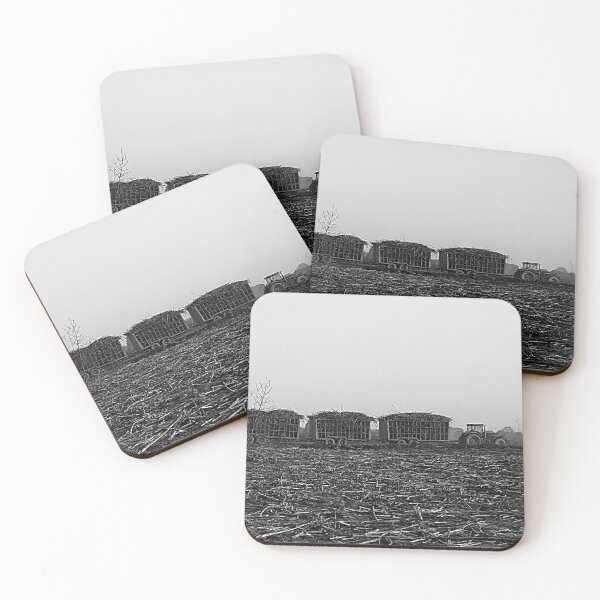 Item preview, Sugar Cane Harvest, Harvested Field, Plantation, Panorama, Africa designed and sold by worldways.