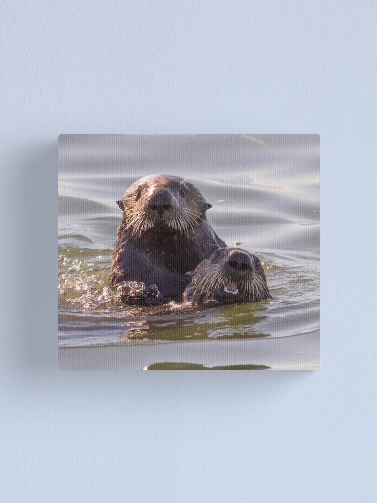 Alternate view of Sea otters of California Canvas Print