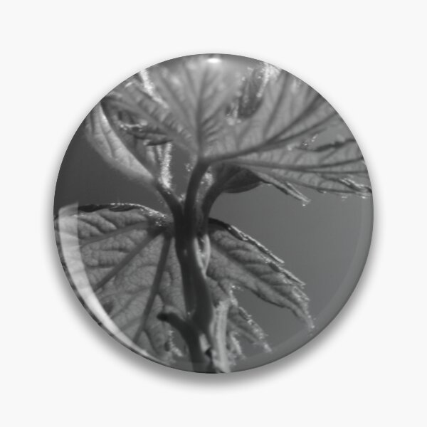 Aperçu de l'œuvre Fleur sombre créée et vendue par Samuel Schaar.