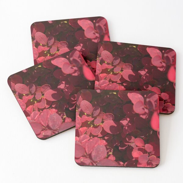 Item preview, Crimson Pygmy Barberry Nature designed and sold by Kaushal Pal.
