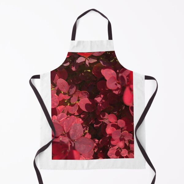Item preview, Crimson Pygmy Barberry Nature designed and sold by Kaushal Pal.
