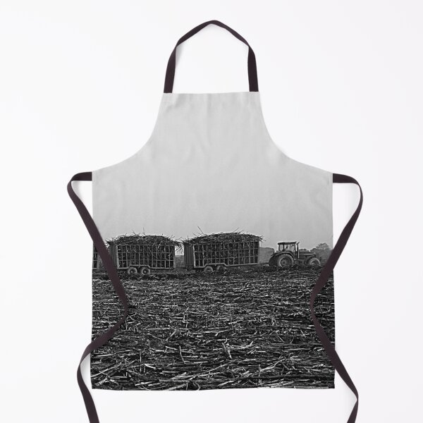 Item preview, Sugar Cane Harvest, Harvested Field, Plantation, Panorama, Africa designed and sold by worldways.