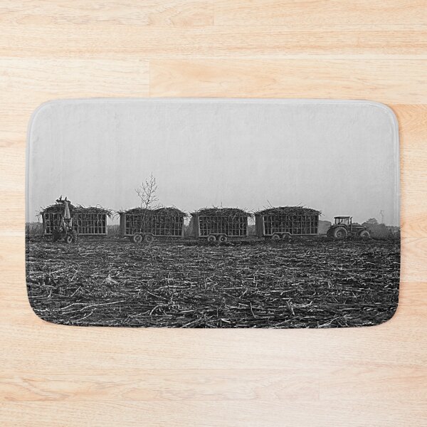 Item preview, Sugar Cane Harvest, Harvested Field, Plantation, Panorama, Africa designed and sold by worldways.