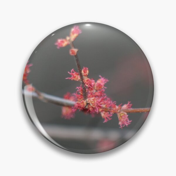 Item preview, Spring Revelation designed and sold by Samuel Schaar.