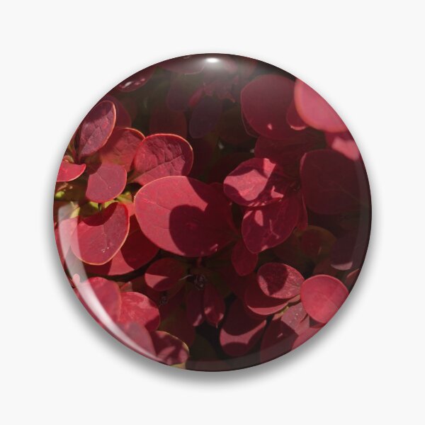 Item preview, Crimson Pygmy Barberry Nature designed and sold by Kaushal Pal.