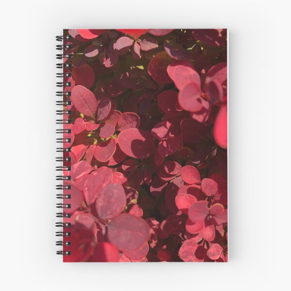 Item preview, Crimson Pygmy Barberry Nature designed and sold by Kaushal Pal.