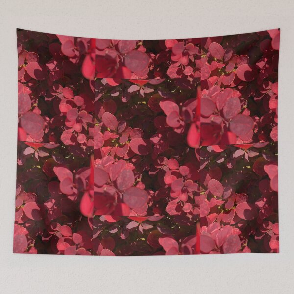 Item preview, Crimson Pygmy Barberry Nature designed and sold by Kaushal Pal.