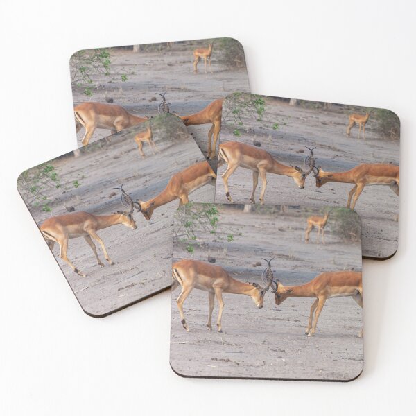 Item preview, Two Male Impalas Fighting designed and sold by SafariByMarisa.