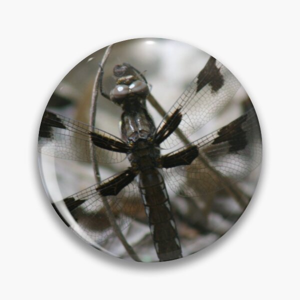 Artikelvorschau, Dragonfly entworfen und verkauft von Samuel Schaar.
