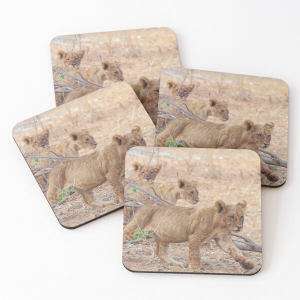 Item preview, Three Wild African Lion Cubs designed and sold by SafariByMarisa.