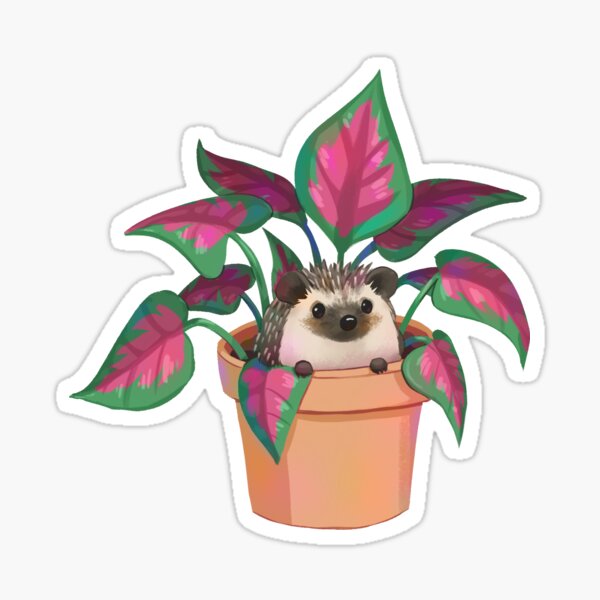 Item preview, Houseplant Hedgehog designed and sold by Pameloo.