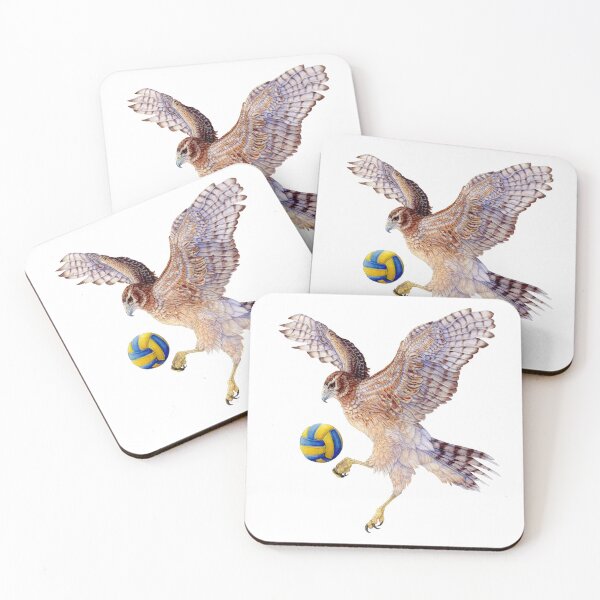 Item preview, Volleyball Hawk #6 - Northern Harrier  designed and sold by R.A.  Faller.