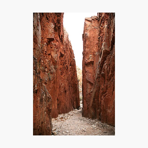 Item preview, Stanley Chasm designed and sold by Rob Chiarolli.