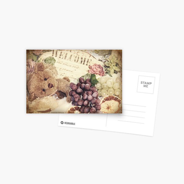 Soft little bear Postcard