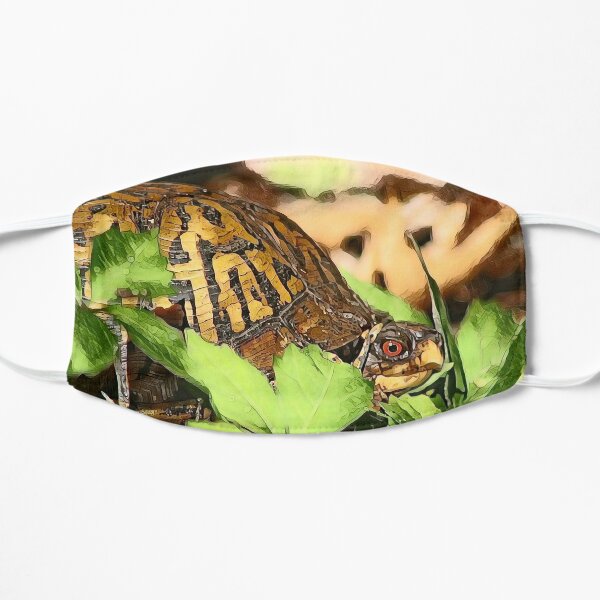 Eastern Box Turtle Flat Mask