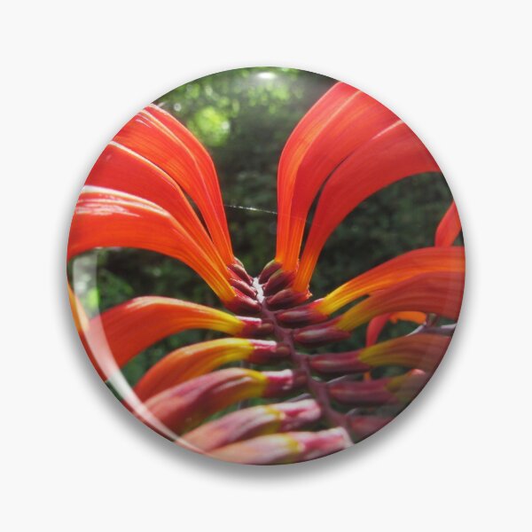 Item preview, Crocosmia Lucifer Plant designed and sold by WildandDivine.