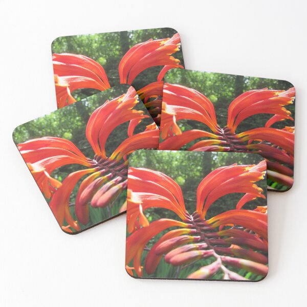 Item preview, Crocosmia Lucifer Plant designed and sold by WildandDivine.
